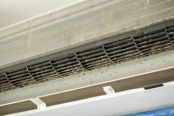 Best Affordable HVAC Duct Cleaning  in Nottingham, PA